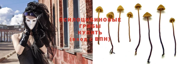 марки lsd Горнозаводск